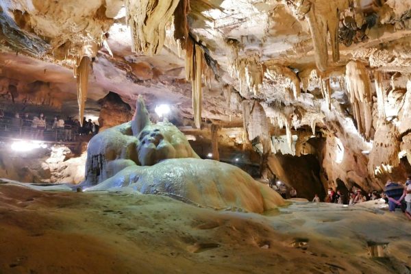 2020-grottes-de-betharram-nature-lestelle-betharram---OTCPN-ML---15-ok