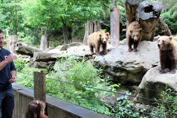 NR ANDY BARREJOT
EXPERIENCE SOIGNEUR AU PARC ANIMALIER DES PYRENEES NOURRITURE ANIMAUX
SINGE OURS VAUTOURS PANDA ROUX