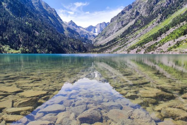 lac-gaube