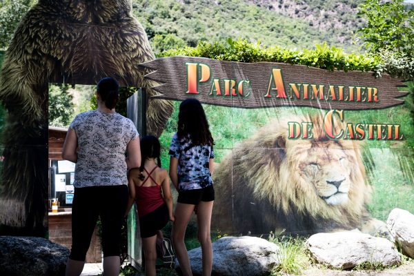 parc-animalier-de-casteil-pyrenees-orientales-2021-79